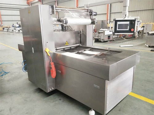 上海雙室擺蓋真空包裝機聯(lián)系電話 質(zhì)量放心可靠，優(yōu)選諸城廣元機械設備