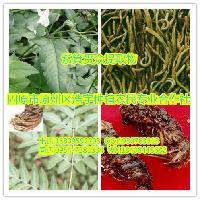 陜西大田生物 專注高品質(zhì)秋水仙堿提取物，廠家直銷，全國(guó)包郵